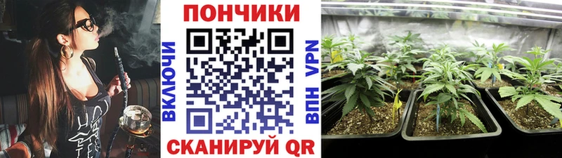 Бошки марихуана THC 21%  Орехово-Зуево 